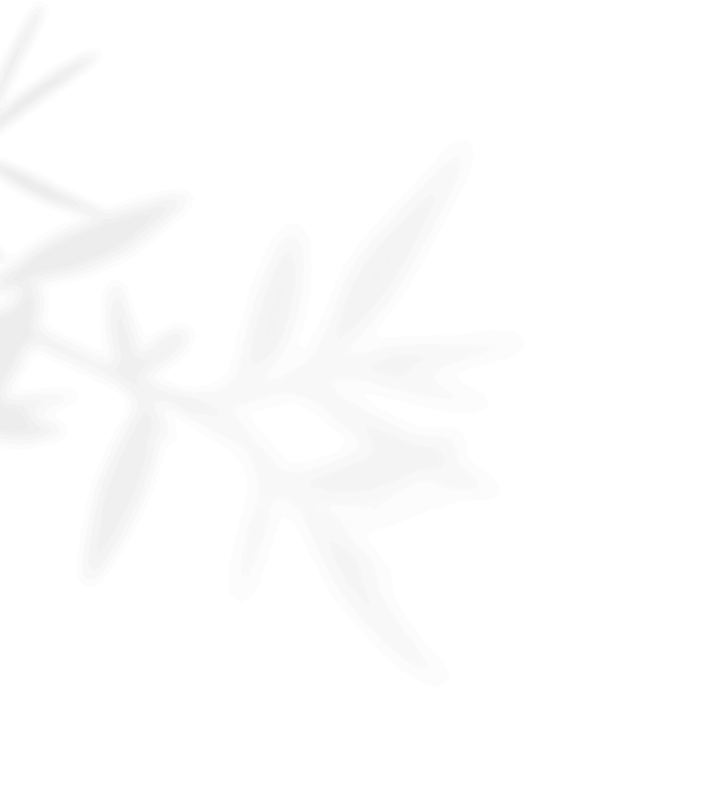 https://vanwykliefde.co.za/wp-content/uploads/2020/11/shadow_leaves_01.png