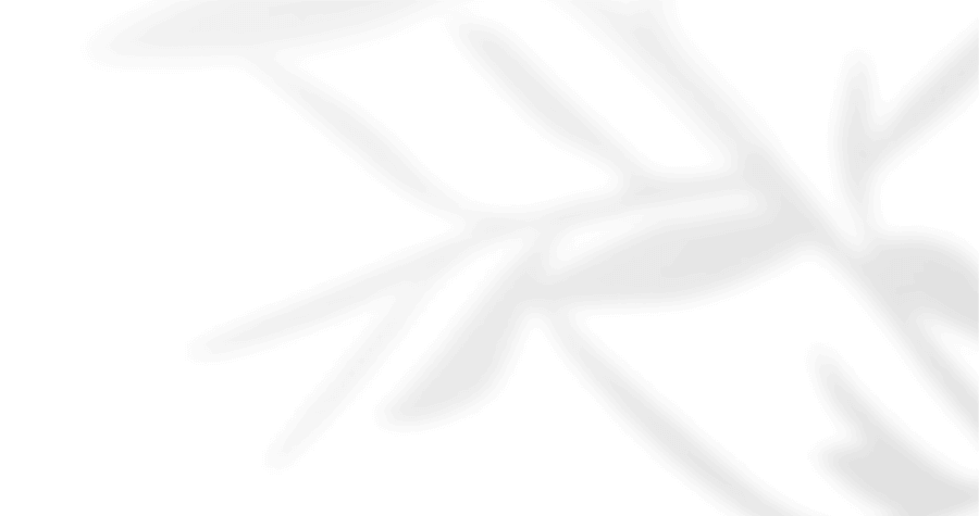 https://vanwykliefde.co.za/wp-content/uploads/2020/12/floating_image_05.png