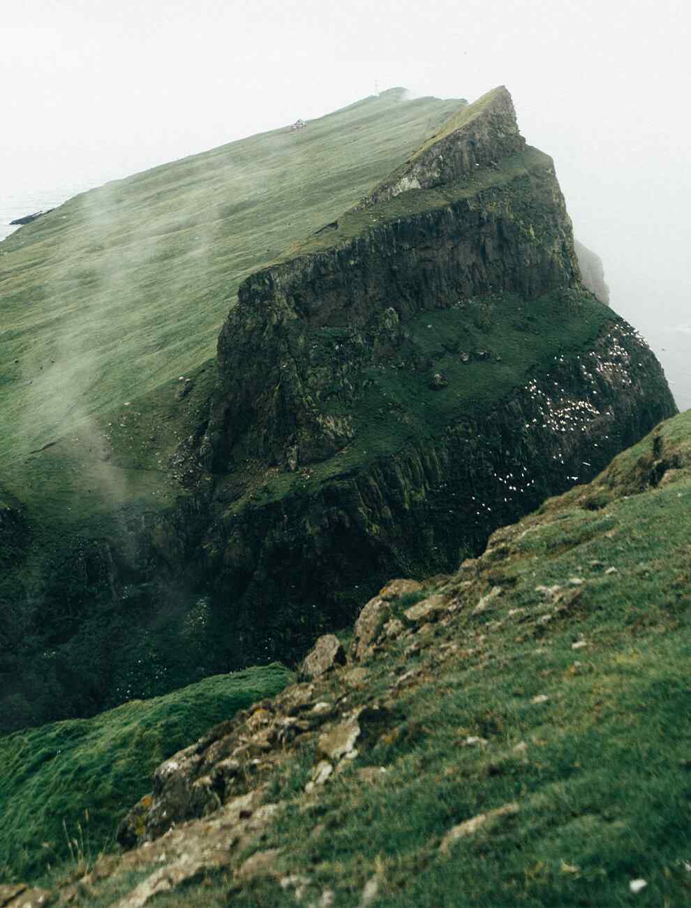 home_04_image_01 https://vanwykliefde.co.za/wp-content/uploads/2020/12/home_04_image_01.jpg