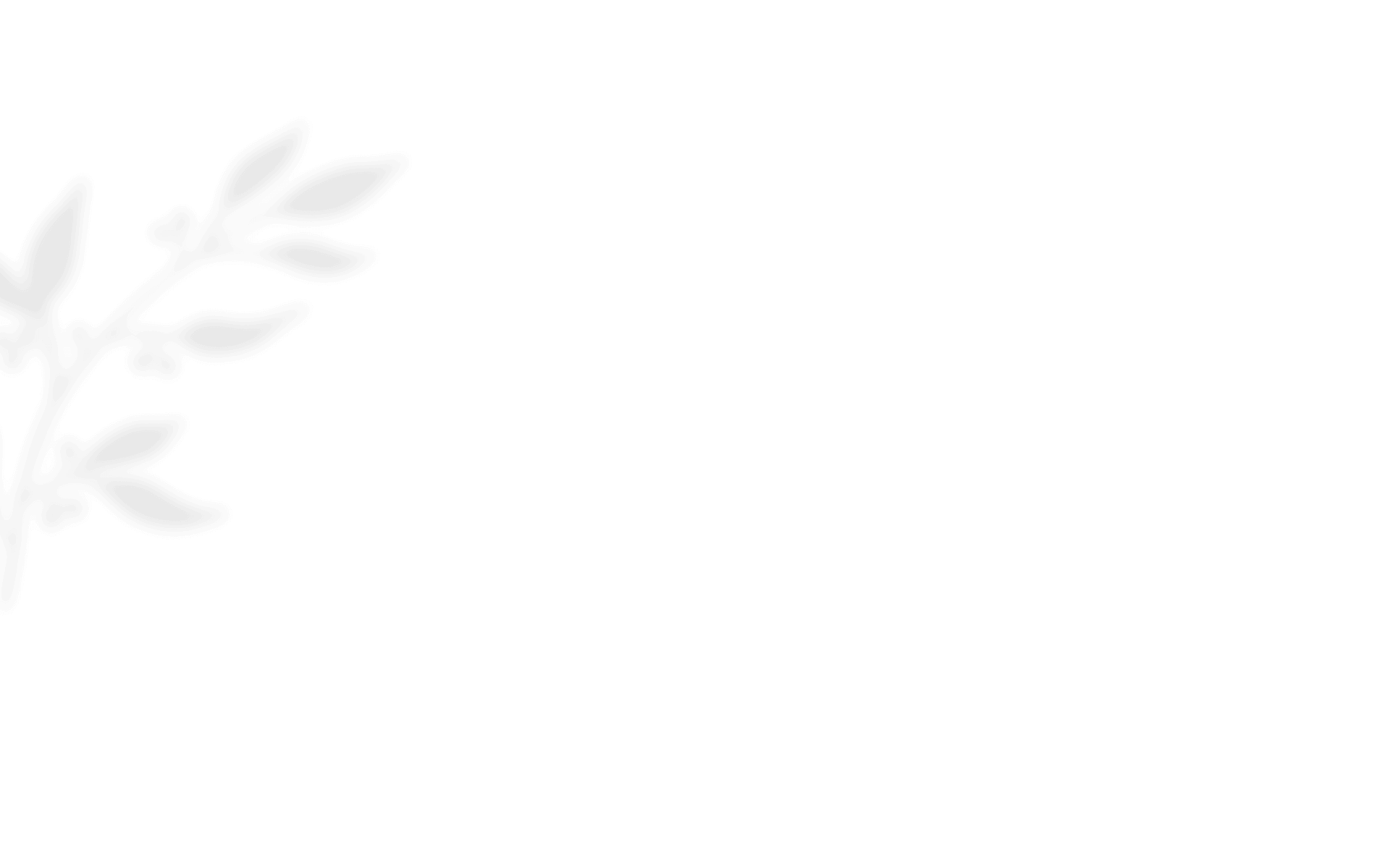 https://vanwykliefde.co.za/wp-content/uploads/2020/12/shadow_leaves_01.png