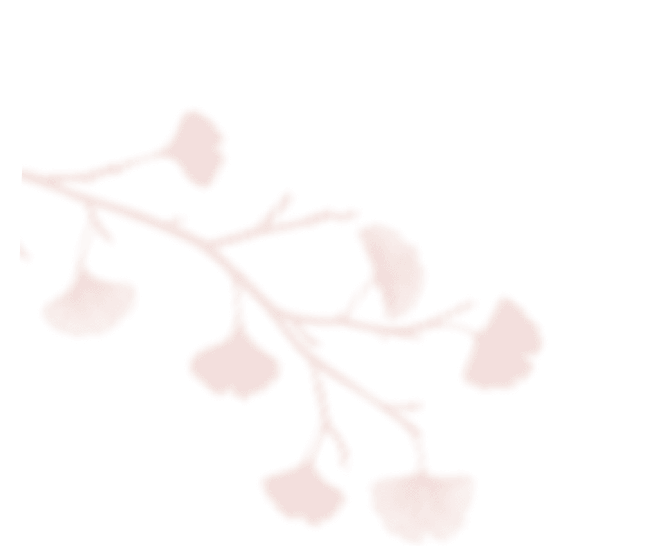 shadow_leaves_06 https://vanwykliefde.co.za/wp-content/uploads/2020/12/shadow_leaves_06.png