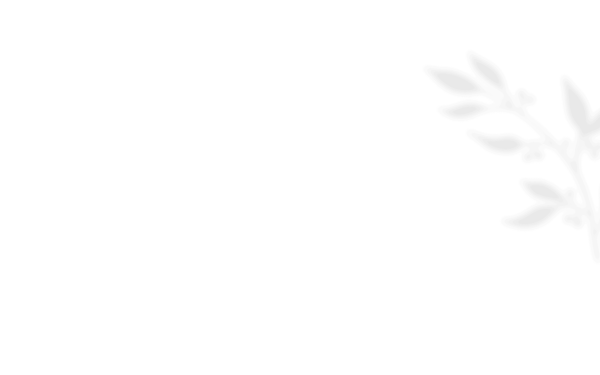 https://vanwykliefde.co.za/wp-content/uploads/2021/01/shadow_leaves_08.png